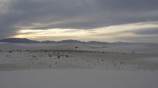 White Sands
